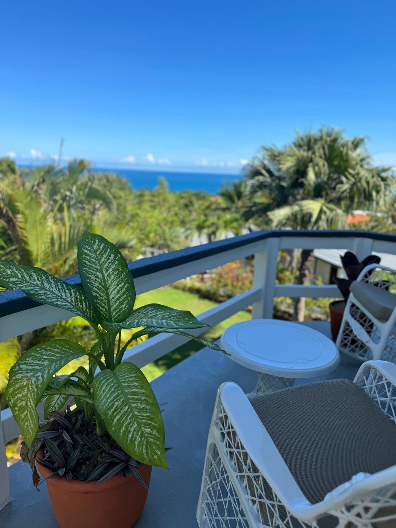Catalina, Cabrera Oceanview Multi 2 Bd 2 Bath Condo Units With Balcony And Pool Eksteriør bilde